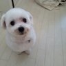 Kマルチ's profile picture