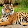 maniyan kalimuthu's profile picture