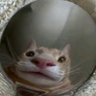 ︎ ︎ profil fotoğrafı