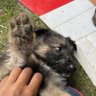 🏳️🌈💉💉name🎗️ profil fotoğrafı