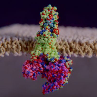 PiperProteinProductions's profile picture