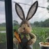 Watcharee Sangsawang's profile picture