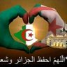 كمال هواري 的头像
