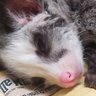 citizenzen's profile picture
