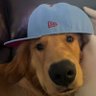 Big DR's profile picture