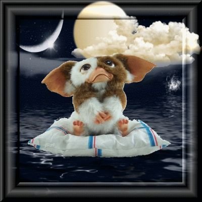 SandraL04243330's profile picture