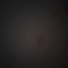 Alex's profile picture