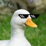 Фото профиля isthatachicken