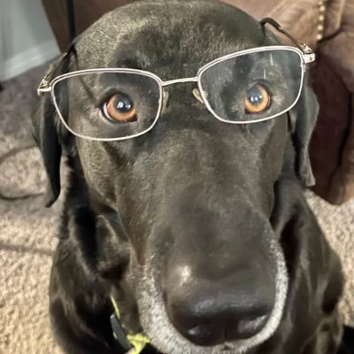 Macktims1's profile picture
