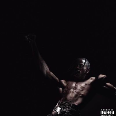 TheWelfareDonky's profile picture