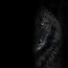 Profilbild von Hades