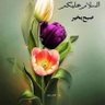 Фото профиля Muhammad Akbar