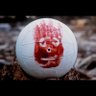 Фото профиля Wilson