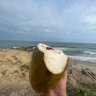 Giancarlo Josue's profile picture