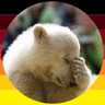 Der wahre Bär⚓ profil fotoğrafı