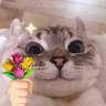 yi yi's profile picture