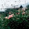 رذاذ 🌧🕊 的头像