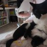 찬호 的头像