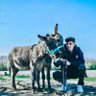 世一腰哈弗茨's profile picture