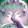 radha Krishna's profile picture