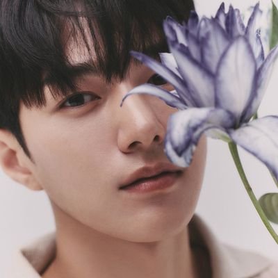LKimsQueen's profile picture