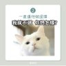 舌頭讓妳飛's profile picture