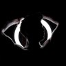 Profilbild von Faizan Malik