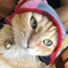 Danaem's profile picture
