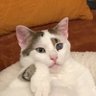 Jeanne de Kat profil fotoğrafı