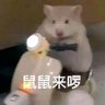 d jj f's profile picture