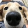 Profilbild von 俺、参上🐶！