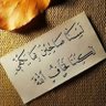 قالب ثلج 的头像