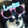 るいるい。 profil fotoğrafı