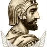 Profilbild von Shahram