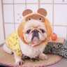 ポンタ 的头像