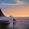 Thalassophile's profile picture