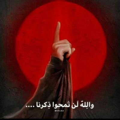 ashekatalhussai's profile picture