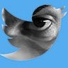  Pierluigi Tolu 's profile picture