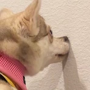 sheoru's profile picture