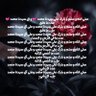 Houda Krimi's profile picture