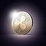 Profilbild von XRP-BULL