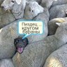 Акушерка из Якутии's profile picture