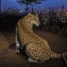 7 profil fotoğrafı