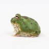 Profilbild von m7med 🐸