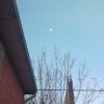 Luna 的头像