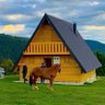 Фото профиля رأي