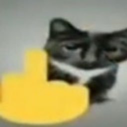 bruh_bruhCDQ's profile picture