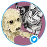 🐩寅夫@肉球新党🐈⬛🐾🐾 profil fotoğrafı