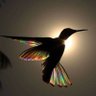 Trotamundos's profile picture