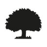 Student Loans Company Repayment's profile picture